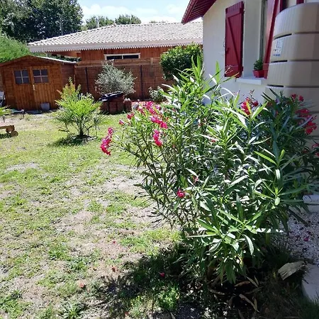 Manon Apartment Biganos Exterior photo