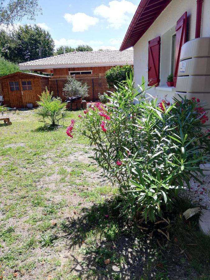 Séjour chez l'habitant Manon *